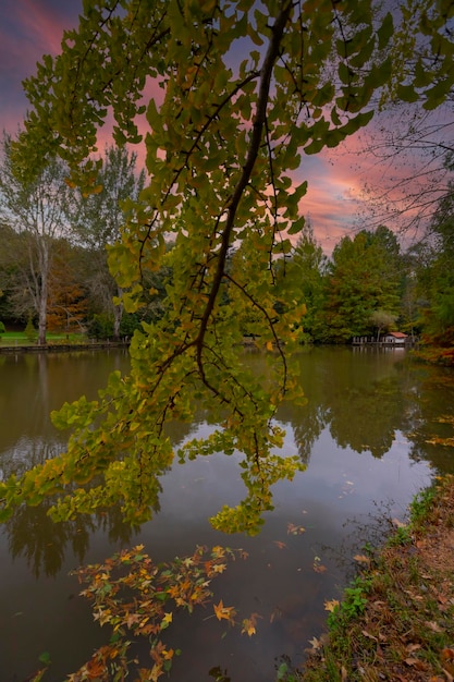 Ataturk Arboretum en el distrito Sariyer de Estambul