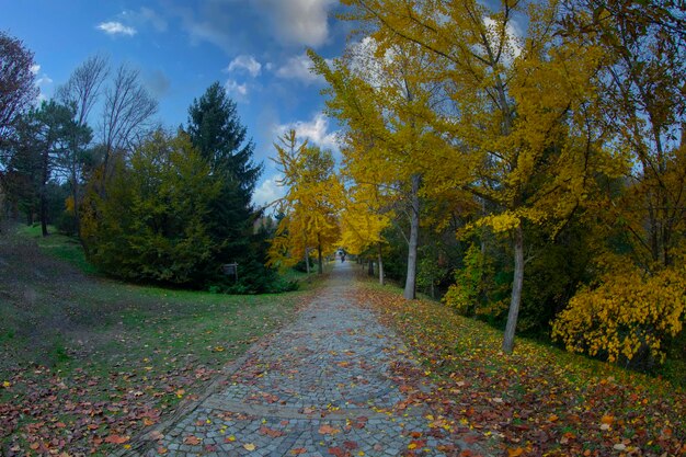 Ataturk Arboretum en el distrito Sariyer de Estambul