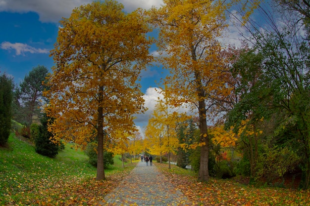 Ataturk Arboretum en el distrito Sariyer de Estambul