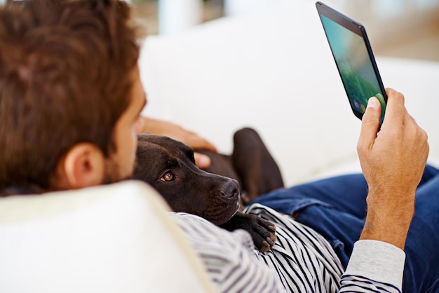 Até o melhor amigo do homem gosta disso Homem usando seu tablet no sofá