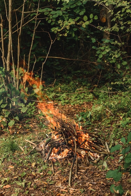 Ateando fogo em uma floresta para textura e fundo de piquenique
