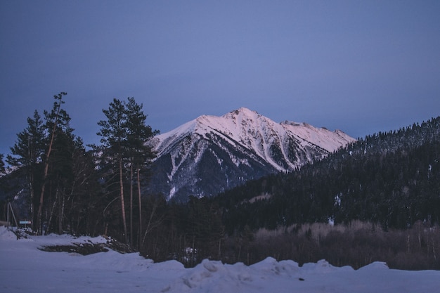 Atemberaubende Aussicht auf die Berge durch die Nadelbäume Stimmung der Ruhe und Gelassenheit