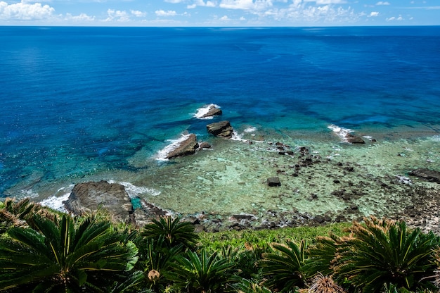 Atemberaubende Landschaft, üppige Korallenrifffelsen, ein atemberaubendes transparentes tiefblaues Meer und Sagopalmen