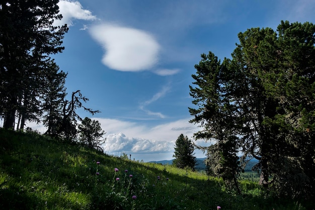 atemberaubende Landschaften beim Reisen im Sommer Altai