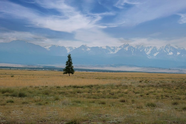 atemberaubende Landschaften beim Reisen im Sommer Altai