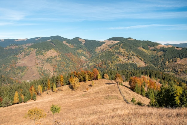 Atemberaubende sonnige Morgenszene Schöne Aussicht auf die Karpaten-Berglandschaft mit Herbstwiesen und Bäumen an einem schönen sonnigen Tag mit blauem Himmel