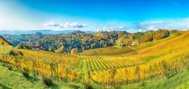 Atemberaubende Weinbergslandschaft in der Südsteiermark in der Nähe von Gamlitz