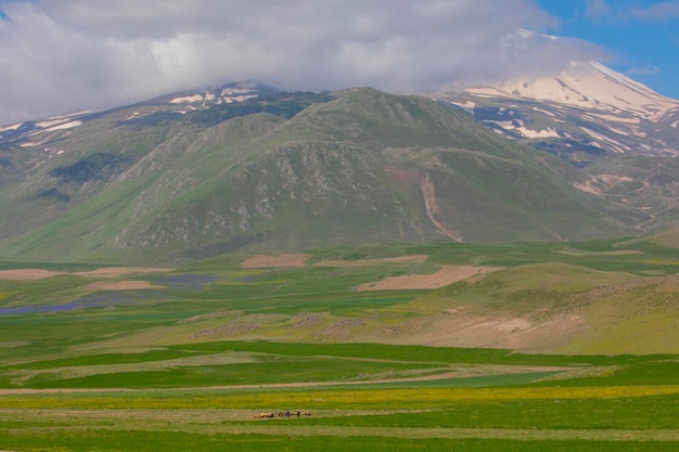 Atemberaubender Blick auf den Berg Ararat, den höchsten Berg der Türkei