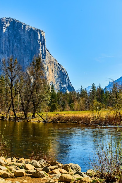 Atemberaubender El Capitan am Fluss bei Valley View in Yosemite