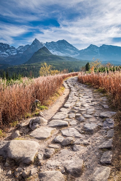 Atemberaubender Pfad zum Bergtal in der Tatra im Herbst