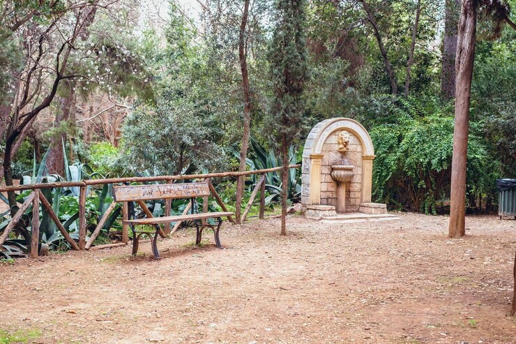 Foto atenas, grécia, 14 de fevereiro de 2020 o jardim nacional é um parque público na cidade de atenas.
