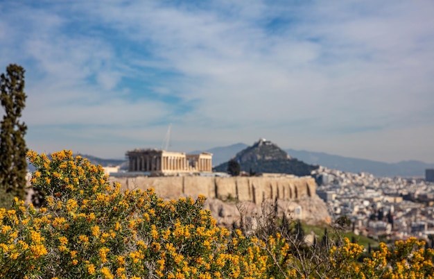 Foto atenas grecia acrópolis y el templo del partenón vista desenfocada planta floreciente de la colina filopappos