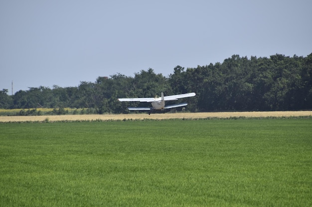 Aterrizando en el campo para llenar fertilizantes An2.