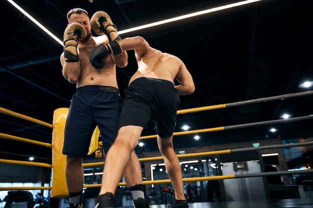 Athletischer Kämpfer verpasst seinem Gegner einen Schlag in den Bauch, während er einen Boxkampf hat