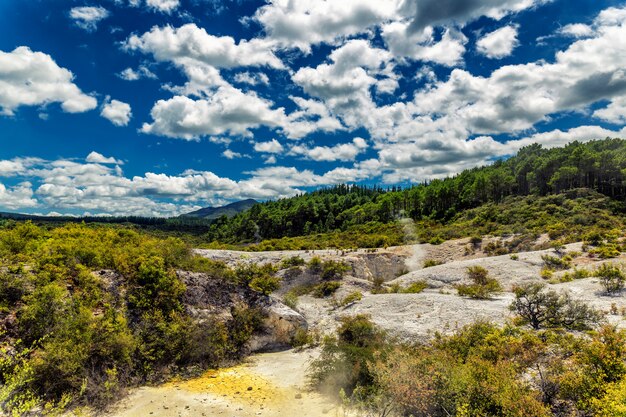 Atividade vulcânica e paisagem de floresta de coníferas no país das maravilhas wai-o-tapu, nova zelândia