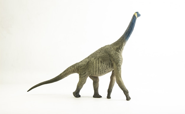 Atlasaurus, Dinosaurier.