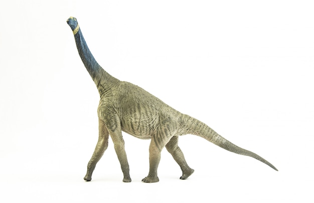 Atlasaurus, dinosaurio.