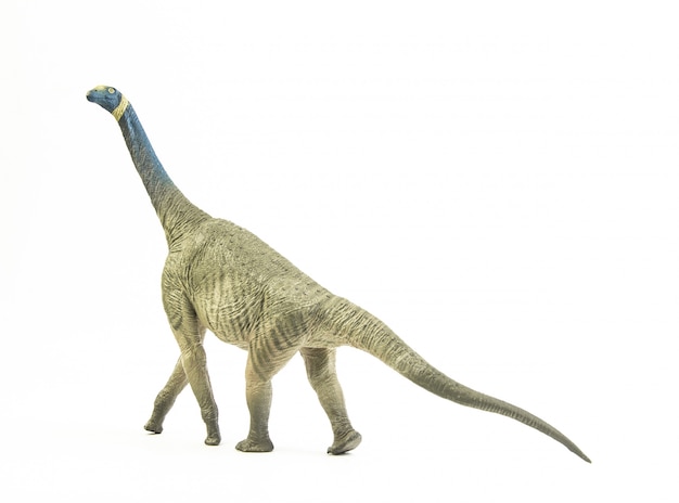 Atlasaurus, dinosaurio.