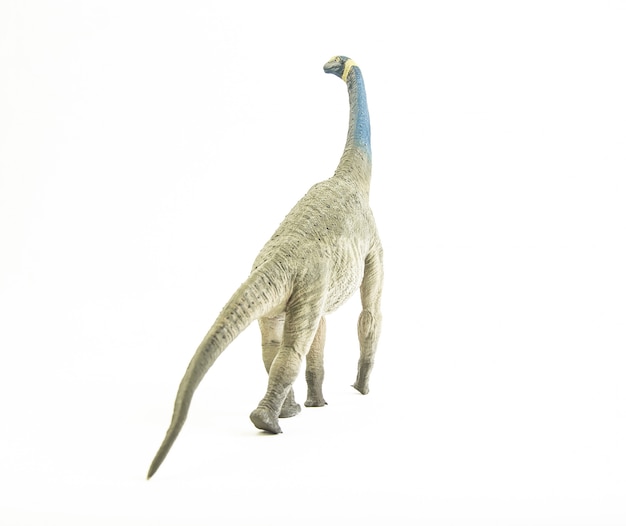 Atlasaurus, dinosaurio.