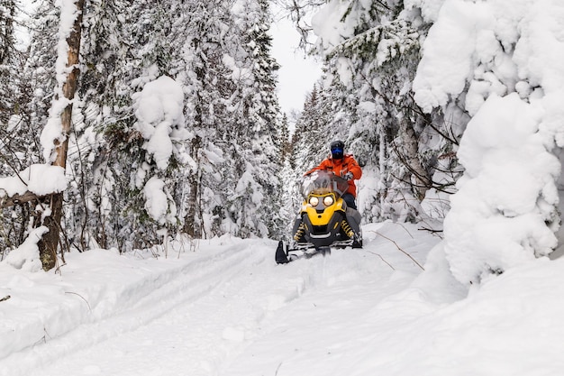 Atleta em um snowmobile movendo-se na floresta de inverno