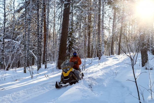 Atleta em um snowmobile na floresta de inverno.