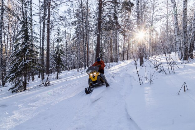 Atleta em um snowmobile na floresta de inverno.