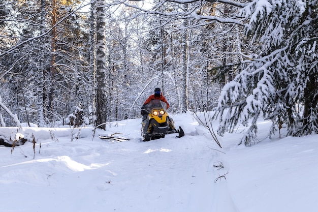 Atleta en una moto de nieve en el bosque de invierno.