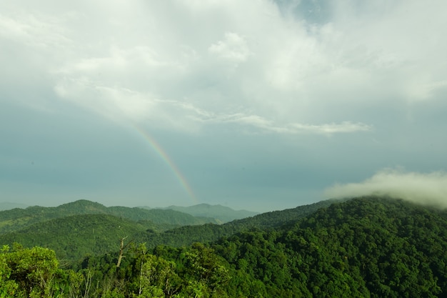 Atmosfera após a chuva na montanha.