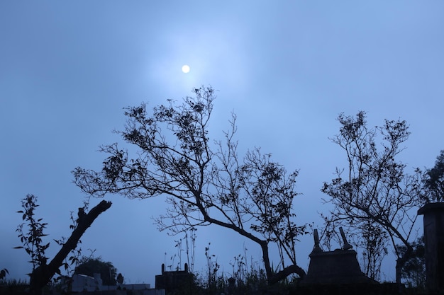 Atmósfera brumosa bajo la luz de la luna