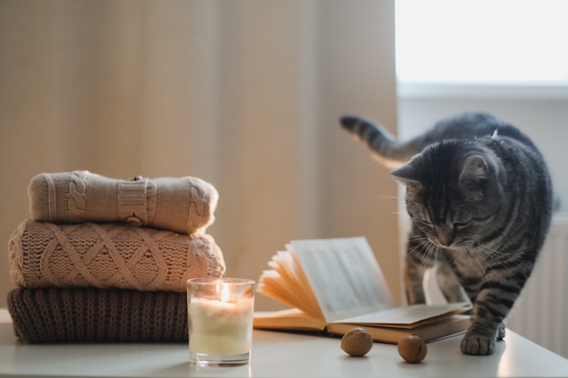 Atmosfera caseira aconchegante e natureza morta com um livro de velas para gatos e suéteres