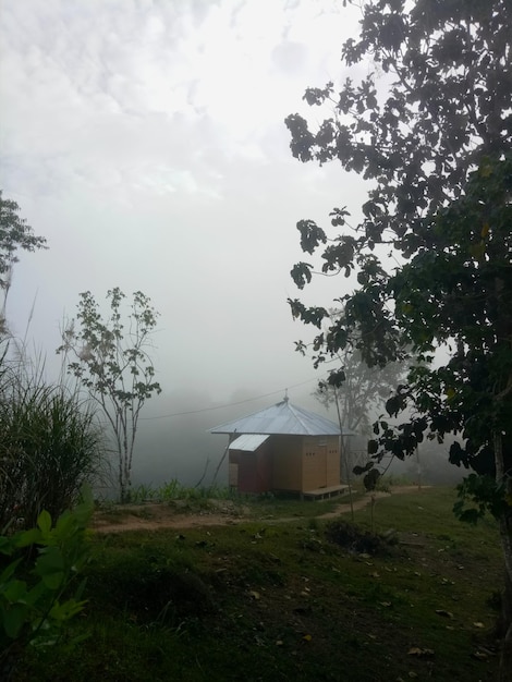 atmosfera de manhã nublada do topo da colina