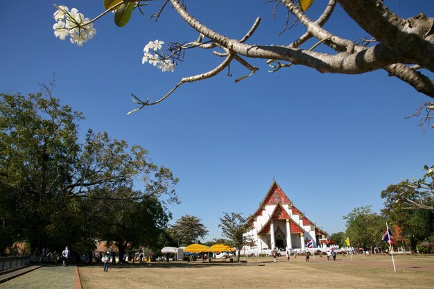 Atmósfera de la mañana alrededor del templo