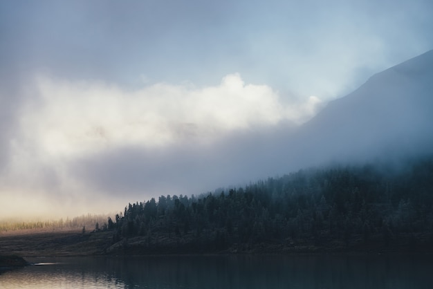 Atmosphärische Landschaft mit Nadelbäumen im Raureif am Hang im Schatten in dicken niedrigen Wolken in der Nähe des Bergsees mit reflektiertem Sonnenlicht. Dunkler Wald mit Frost auf einem Hügel im dichten Nebel bei schwachem Licht.