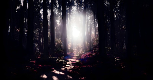 Atmosphärischer dunkler grimmiger Wald (Packung mit 100 Illustrationen) in 4K.Hohe Qualität