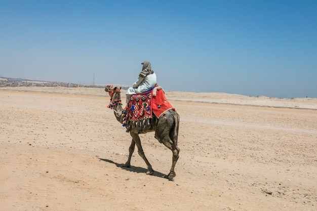 Atracciones de Egipto