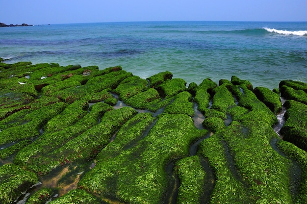 Atracciones famosas de la costa norte de Taiwán Shimen Laomei Green Stone Slot