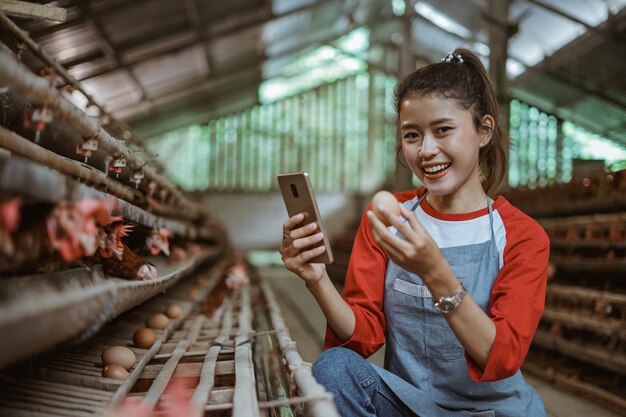 Atractiva avicultora sostiene teléfono celular y huevos de avicultura en gallinero