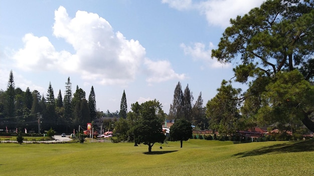 Atractiva y hermosa vista del parque de la ciudad.