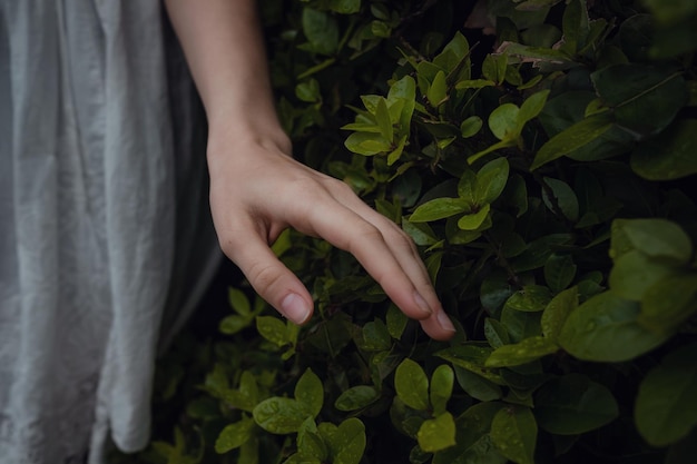 Atractiva mujer joven disfrutando de su tiempo al aire libre en el parque Hermoso palacio jugosas verduras después de una lluvia en la primavera