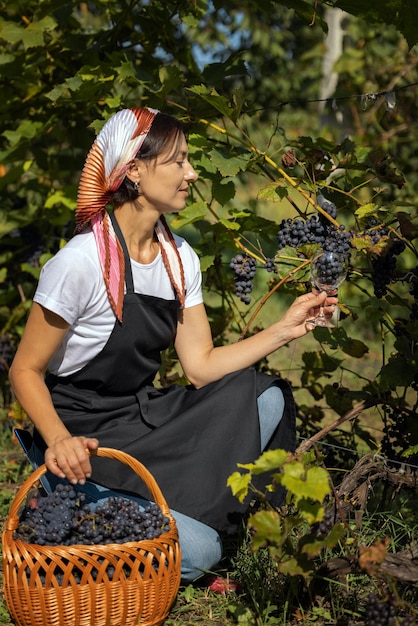 Atractiva mujer de mediana edad en delantal y pañuelo en la cabeza sosteniendo una cesta con uva madura y bocal al aire libre Mujer caucásica posando en un viñedo durante la temporada de cosecha