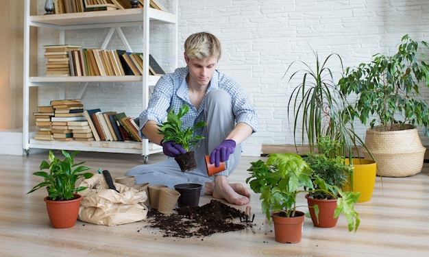 Un atractivo joven que cuida plantas domésticas trasplanta flores vierte tierra en macetas