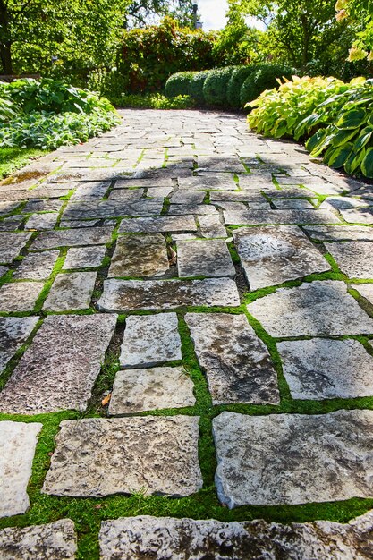 El atractivo sendero de jardín rústico con exuberante vegetación y losas de piedra