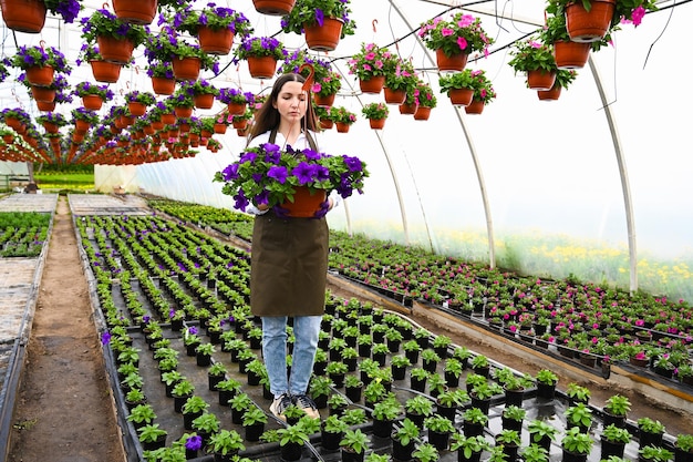 Atraente jardineira segurando petúnias violetas em vaso no jardim Mulher trabalhando em estufa