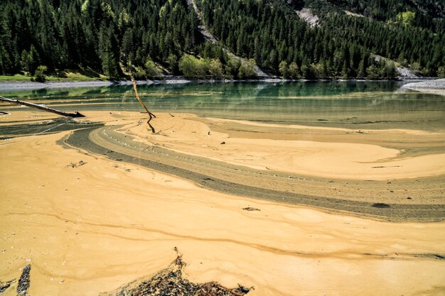 Foto atraer el polen en el agua