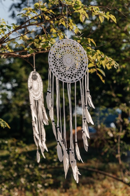 Atrapasueños blancos con plumas colgando de un árbol bajo los rayos del sol