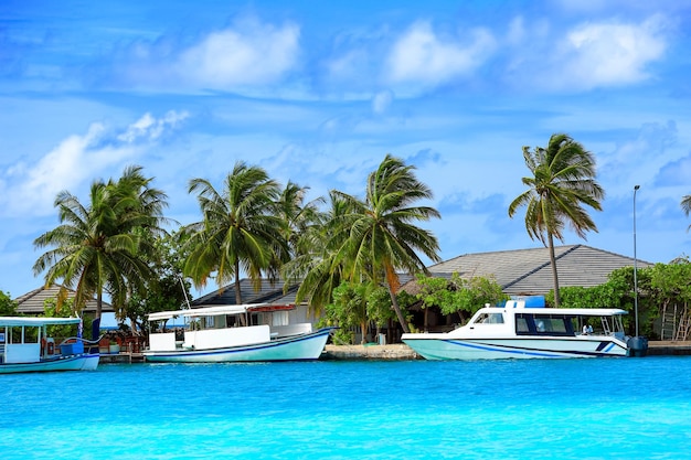 Atraque con barcos modernos en tropical resort