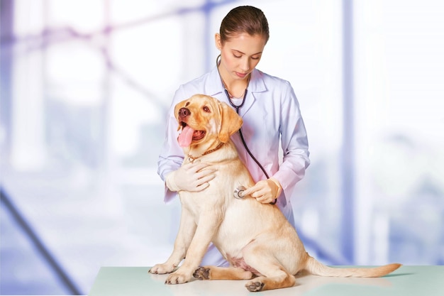 Attraktive junge Ärztin mit lustigem Hundepatienten