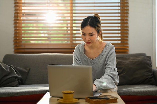 Attraktive junge Frau beim Online-Shopping im Internet am Laptop zu Hause Menschen, Technologie und Lifestyle