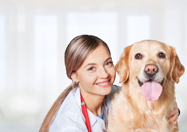 Attraktive junge Ärztin mit lustigem Hundepatienten