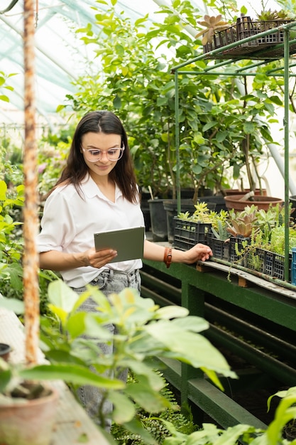 Attraktiver Geschäftsfrauengärtner in den Gläsern unter Verwendung der Tablette. Moderne Technik im Gartengeschäft.